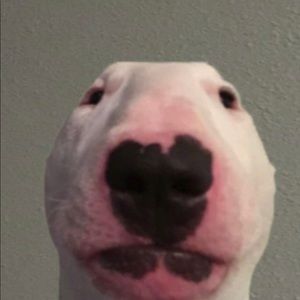 Meet your Posher, Emma